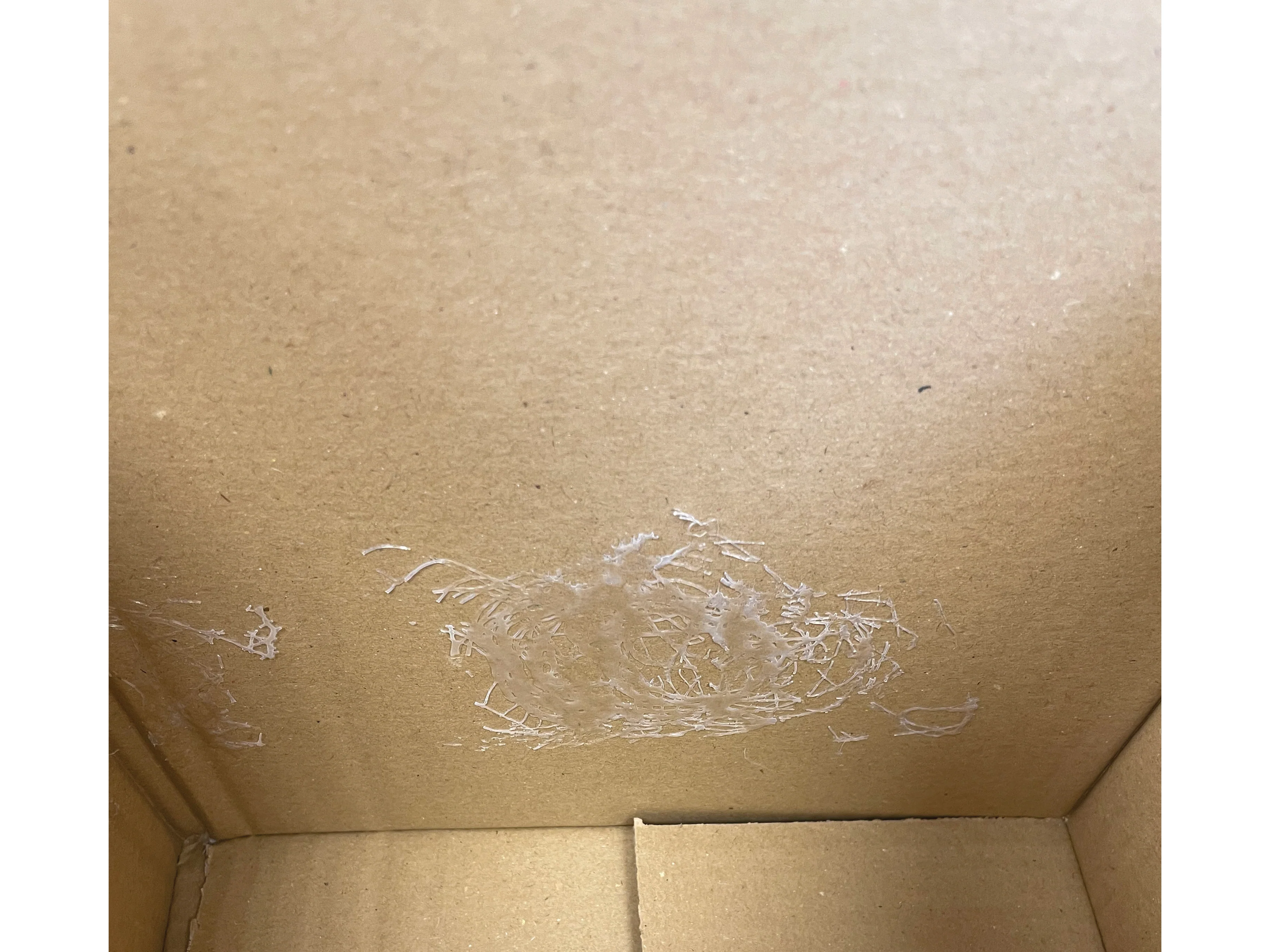 Used Printed Double Wall Box - 310mm x 250mm x 250mm - Image 4